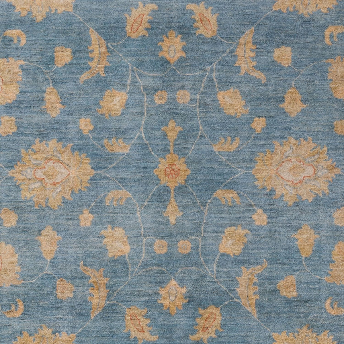 Ziegler Carpet - 300 x 207 cm - blå