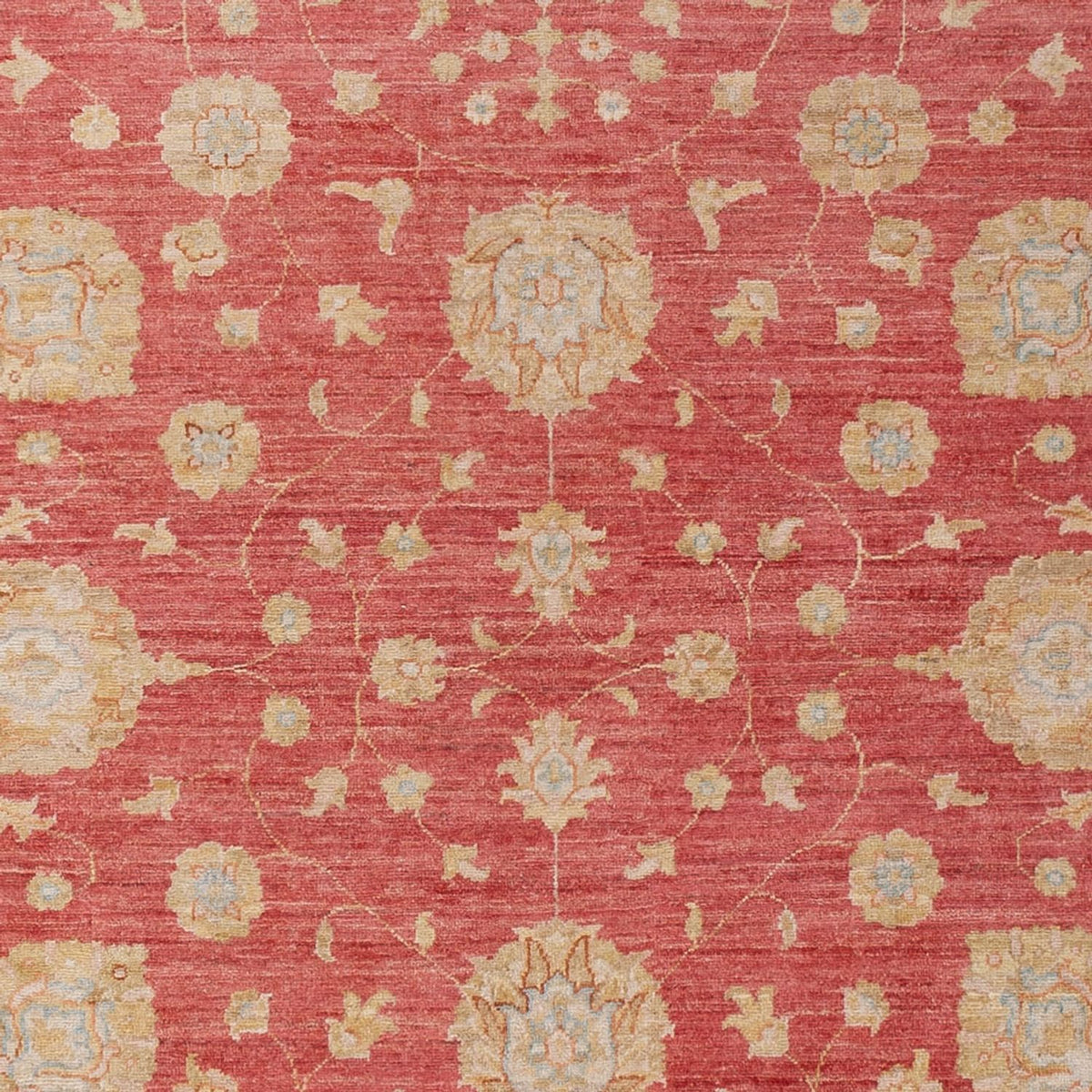Ziegler Carpet - 293 x 205 cm - rød
