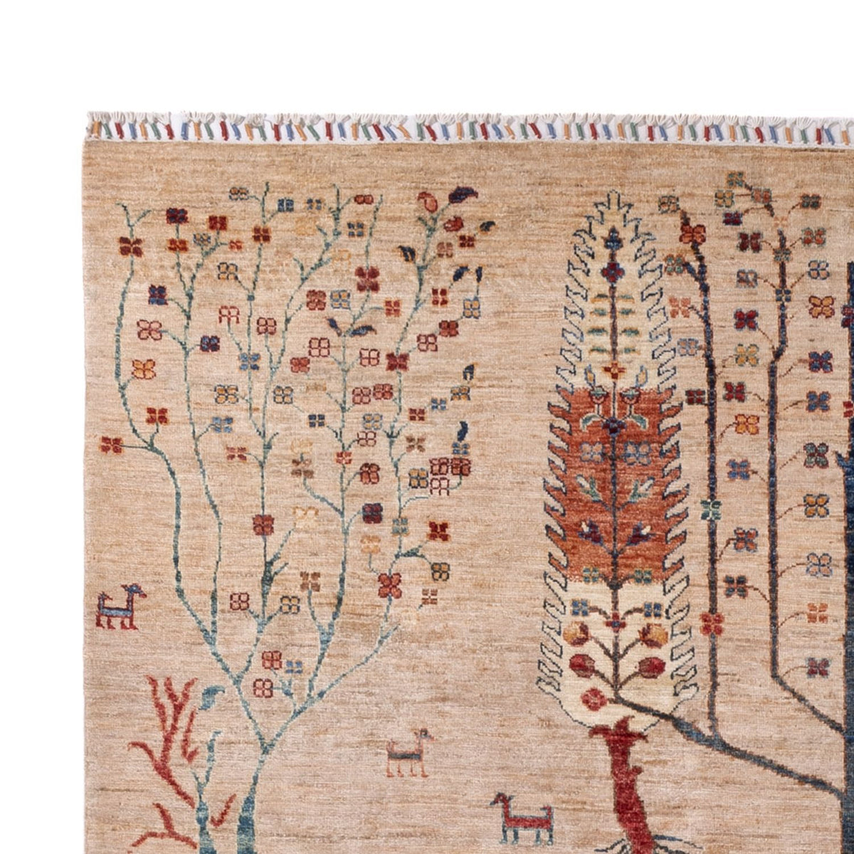 Ziegler Carpet - Ariana - 303 x 204 cm - beige