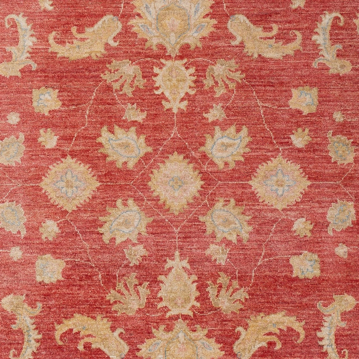 Ziegler Carpet - 303 x 210 cm - rød