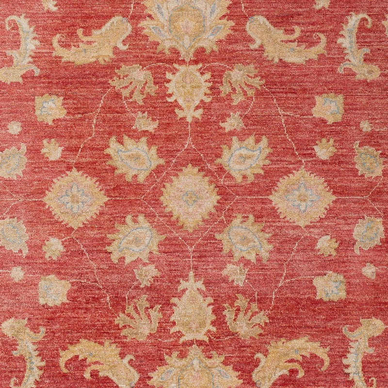 Ziegler Carpet - 303 x 210 cm - rød