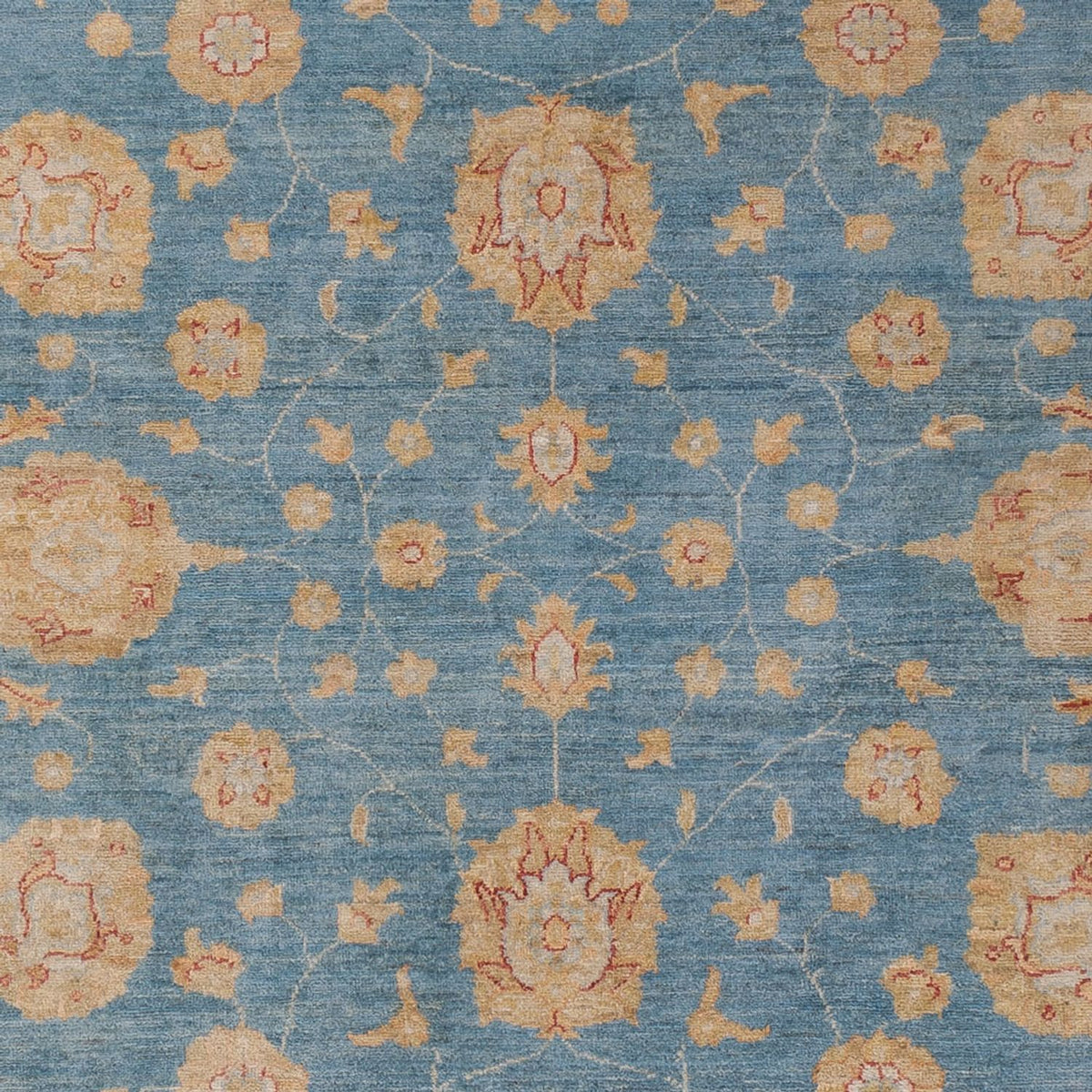 Ziegler Carpet - 296 x 202 cm - blå