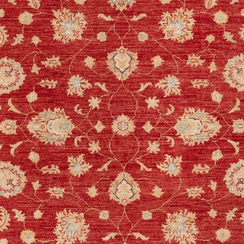 Ziegler Carpet - 295 x 204 cm - rød