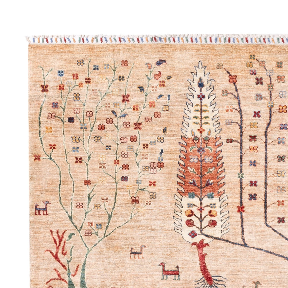 Ziegler Carpet - Ariana - 295 x 204 cm - beige