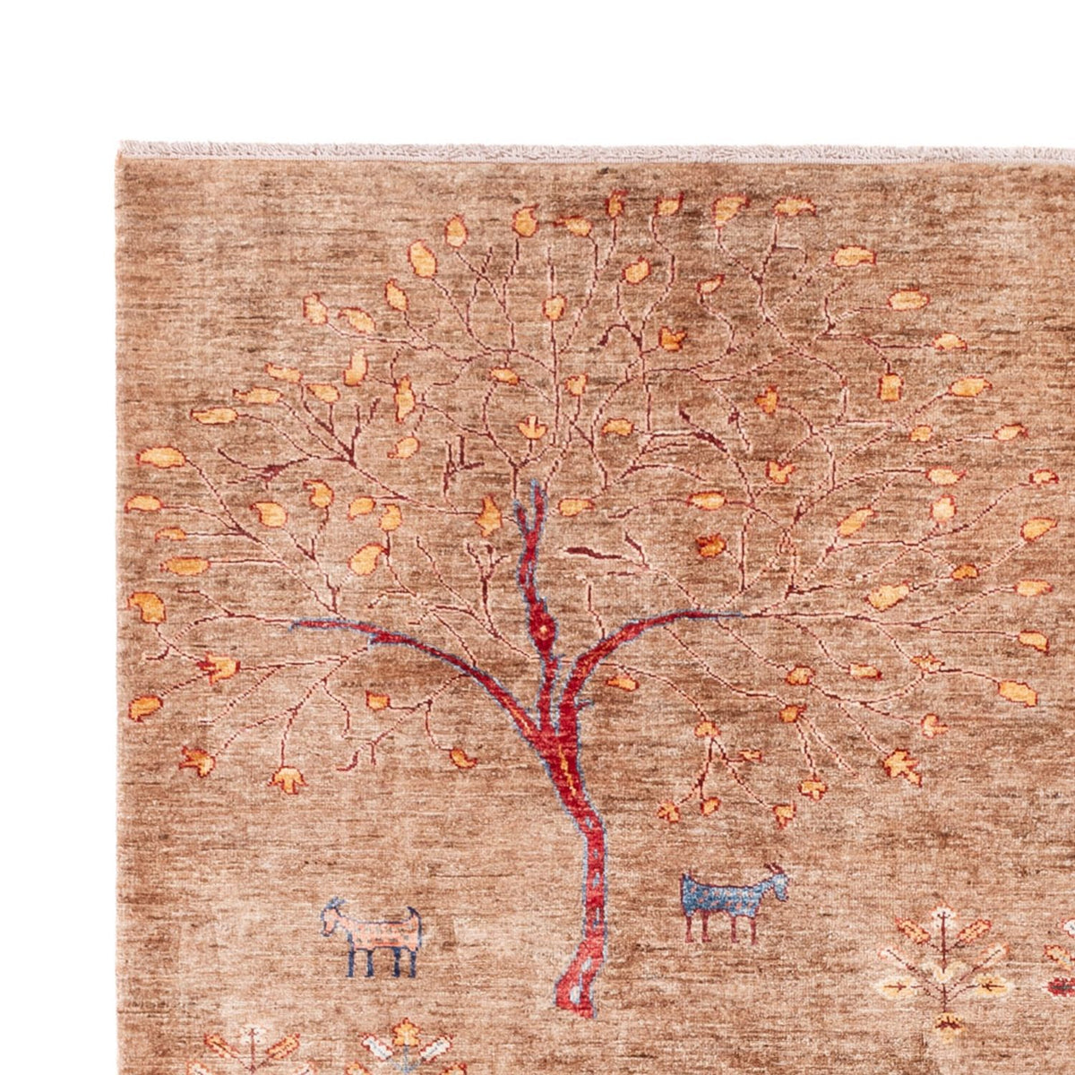 Ziegler Carpet - Ariana - 291 x 210 cm - lys brun