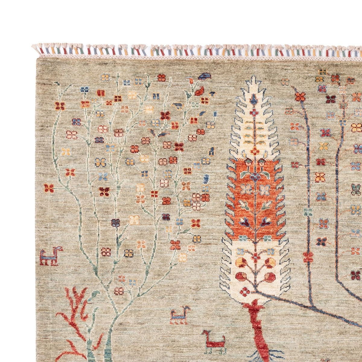 Ziegler Carpet - Ariana - 299 x 210 cm - sand