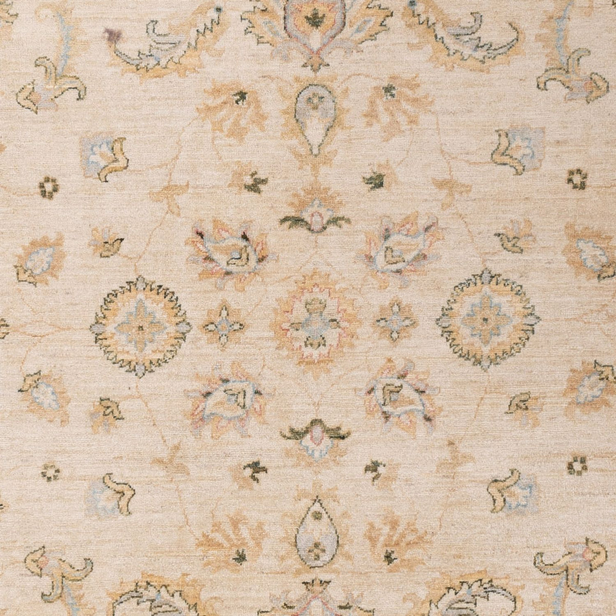 Ziegler Carpet - 304 x 204 cm - beige
