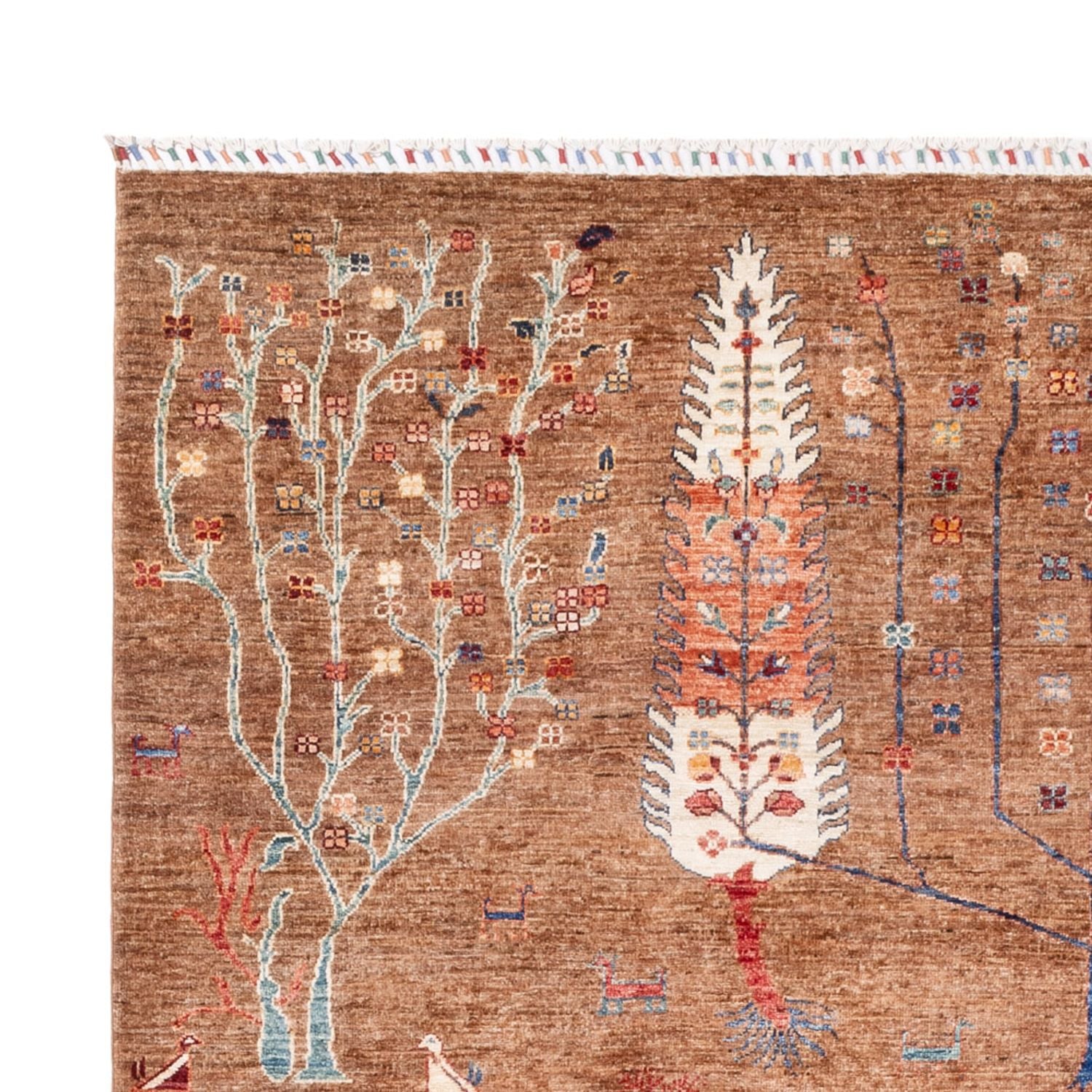 Ziegler Carpet - Ariana - 293 x 205 cm - mørk beige