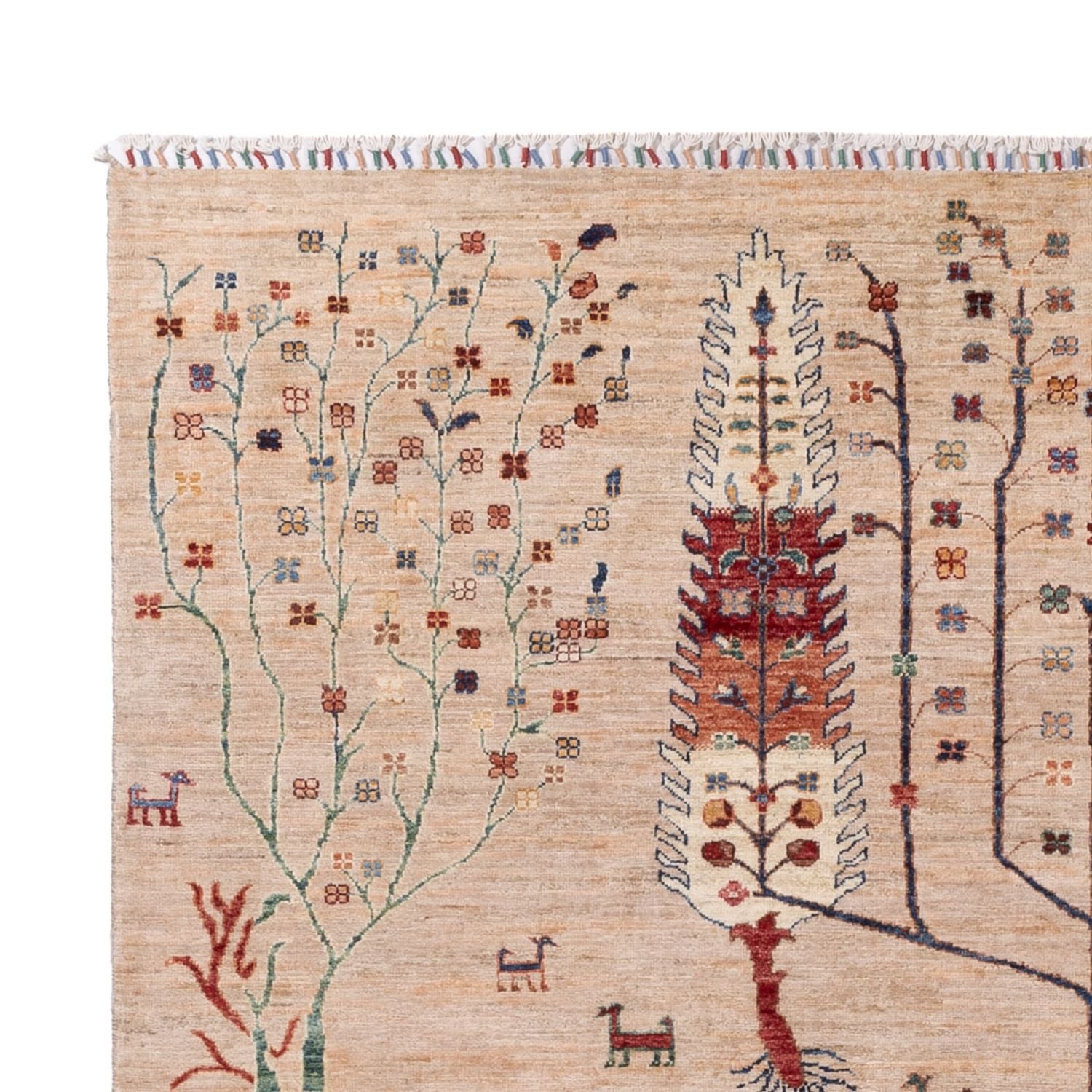 Ziegler Carpet - Ariana - 290 x 204 cm - beige