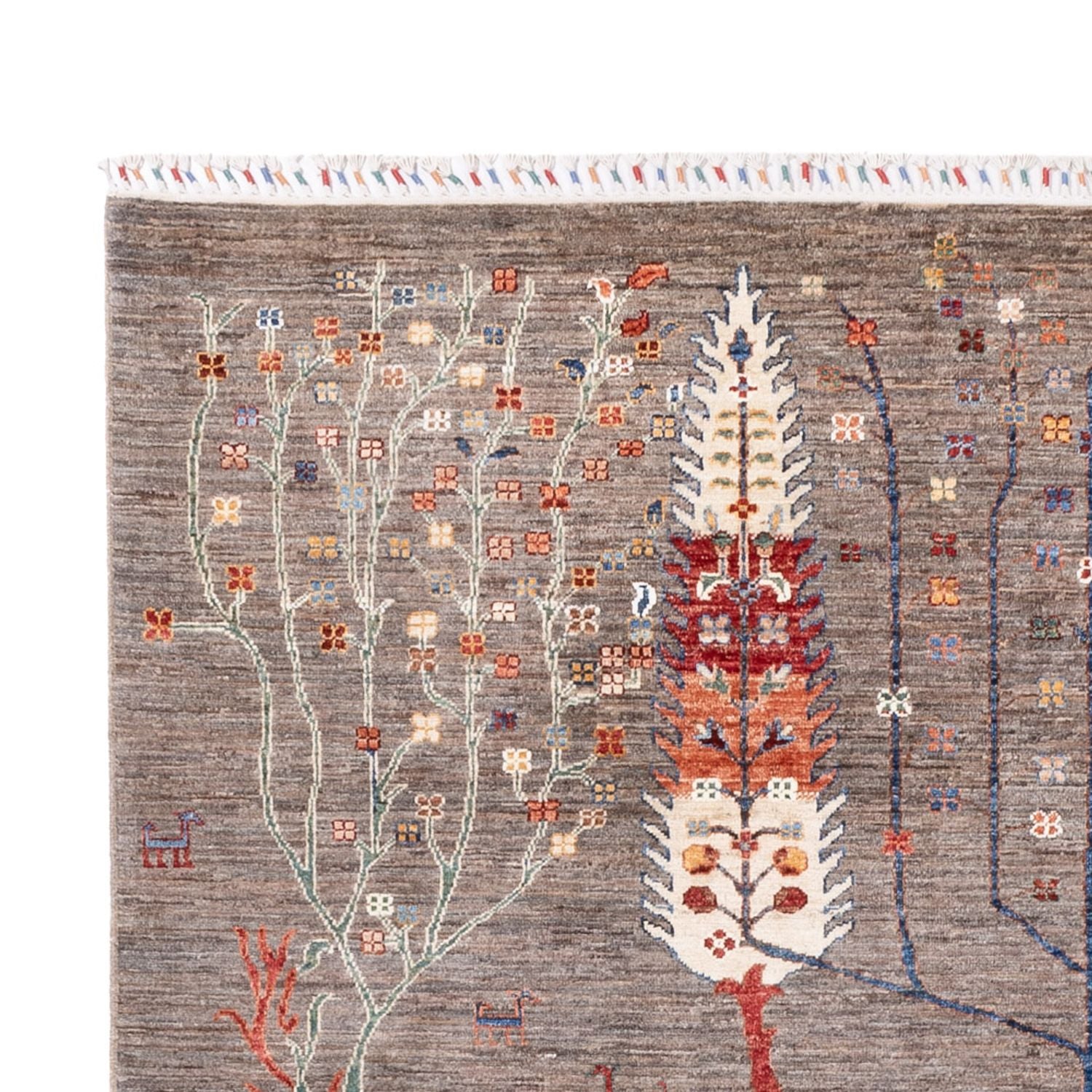 Ziegler Carpet - Ariana - 298 x 200 cm - mørk beige