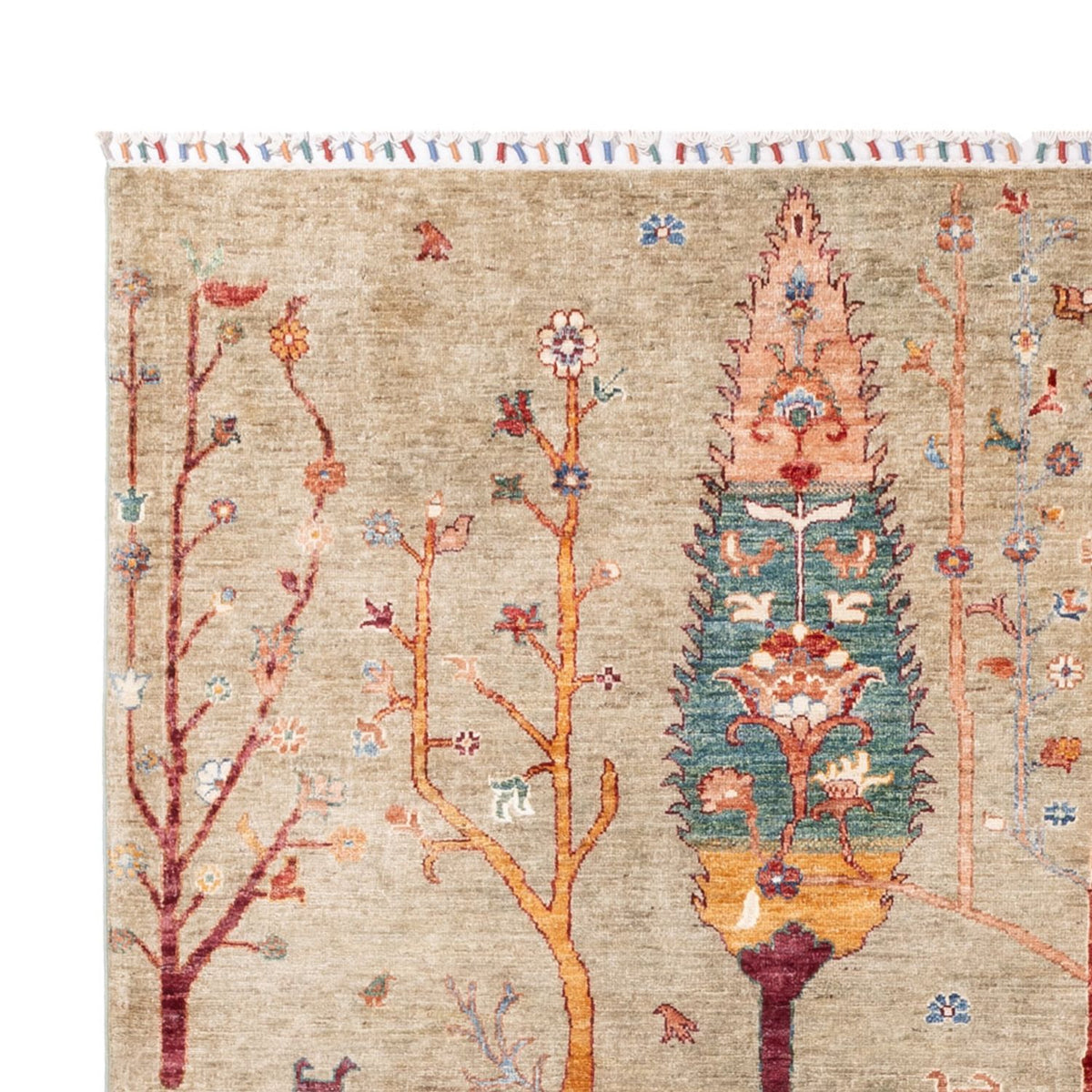 Ziegler Carpet - Ariana - 290 x 207 cm - sand