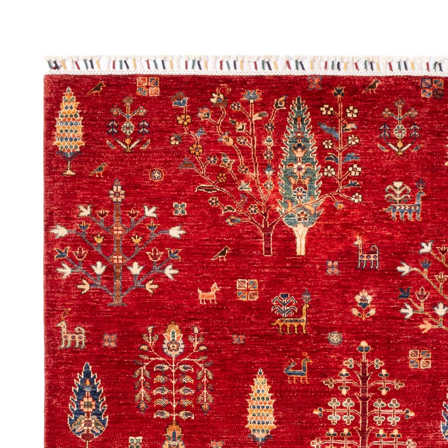 Ziegler Carpet - Ariana - 300 x 206 cm - rød