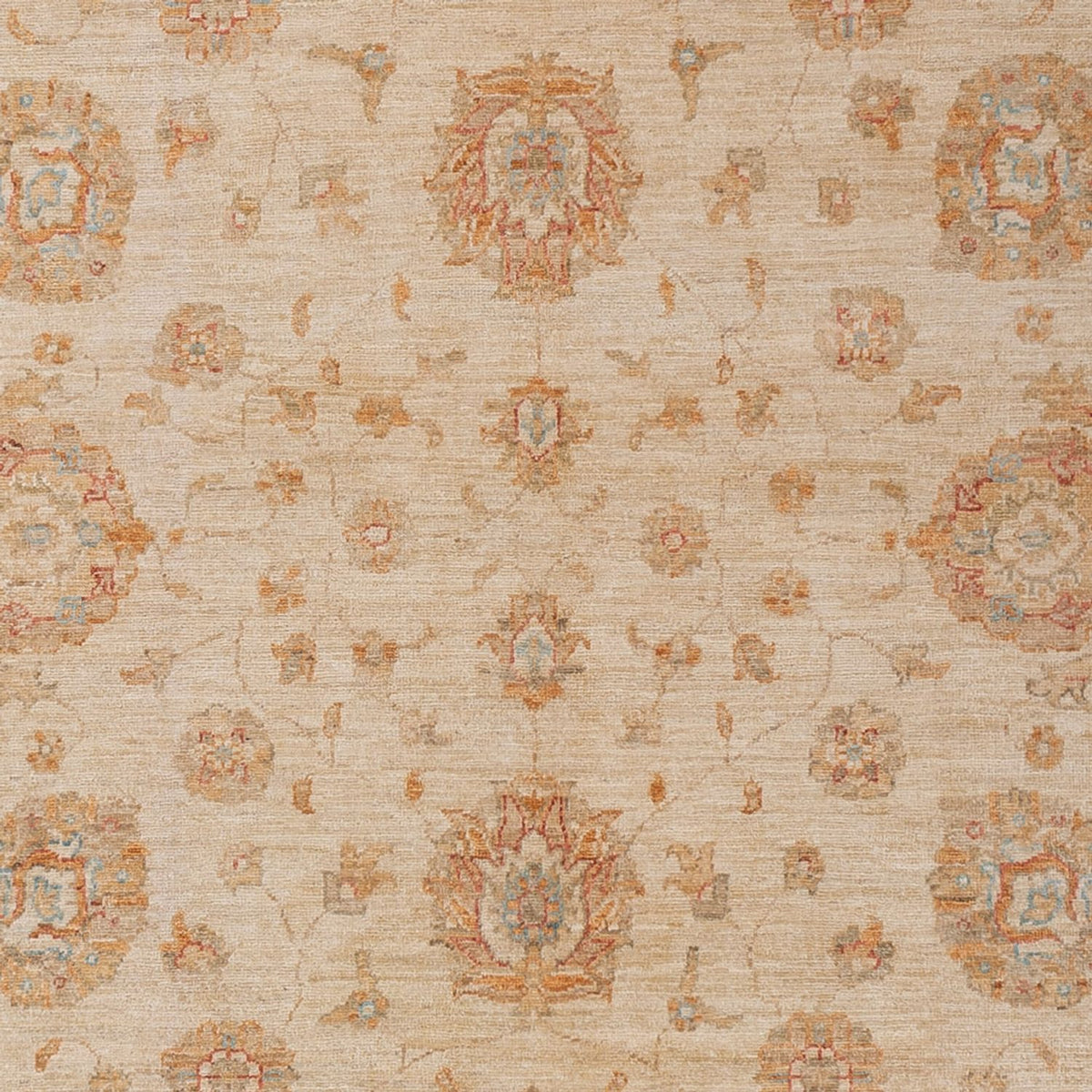 Ziegler Carpet - 299 x 205 cm - beige