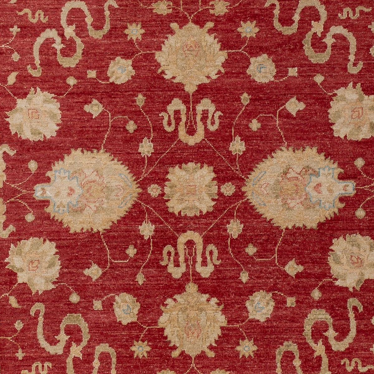 Ziegler Carpet - 297 x 203 cm - rød