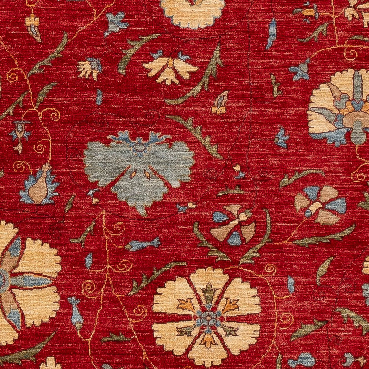 Ziegler Carpet - Ariana - 236 x 172 cm - rød