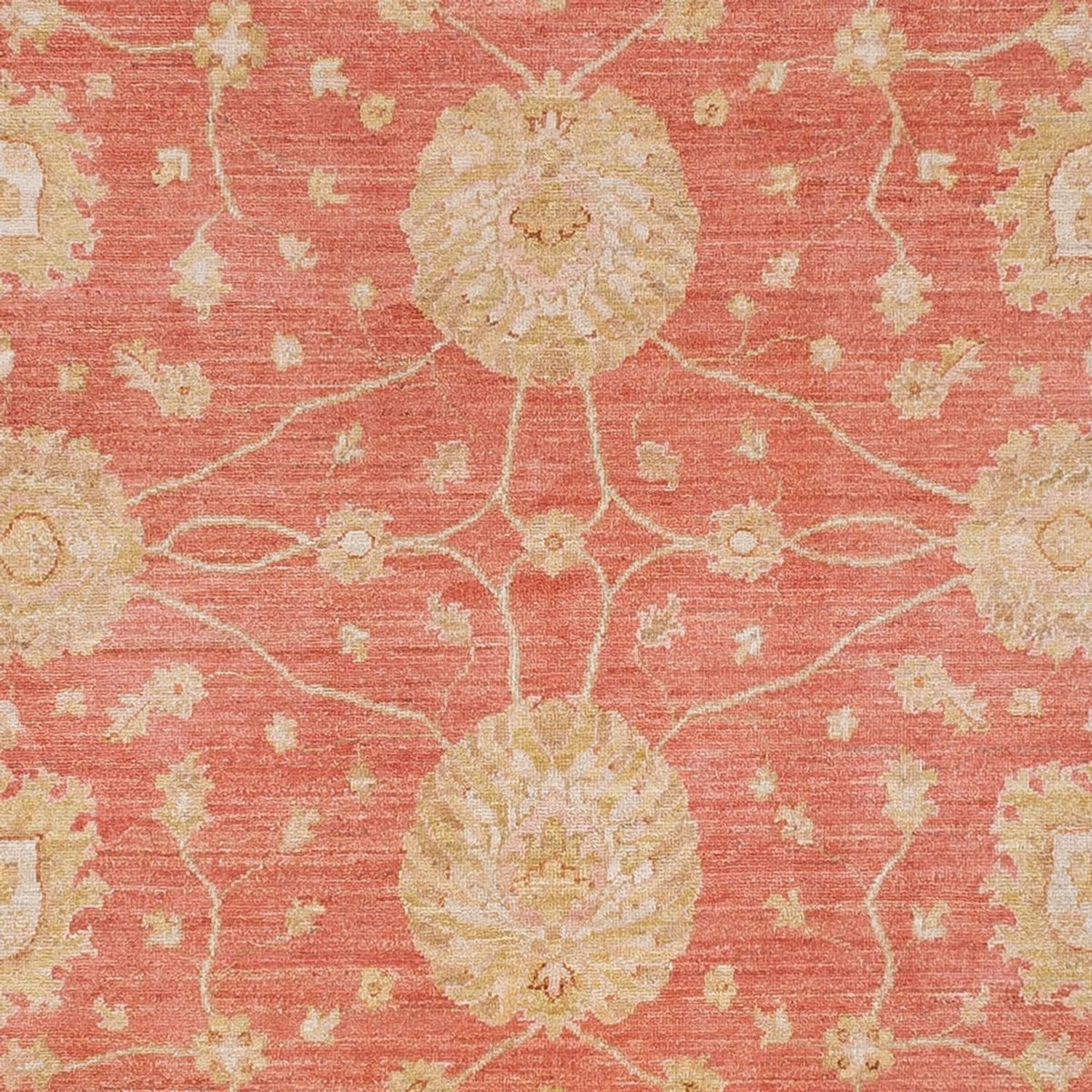 Ziegler Carpet - 296 x 254 cm - lysrød