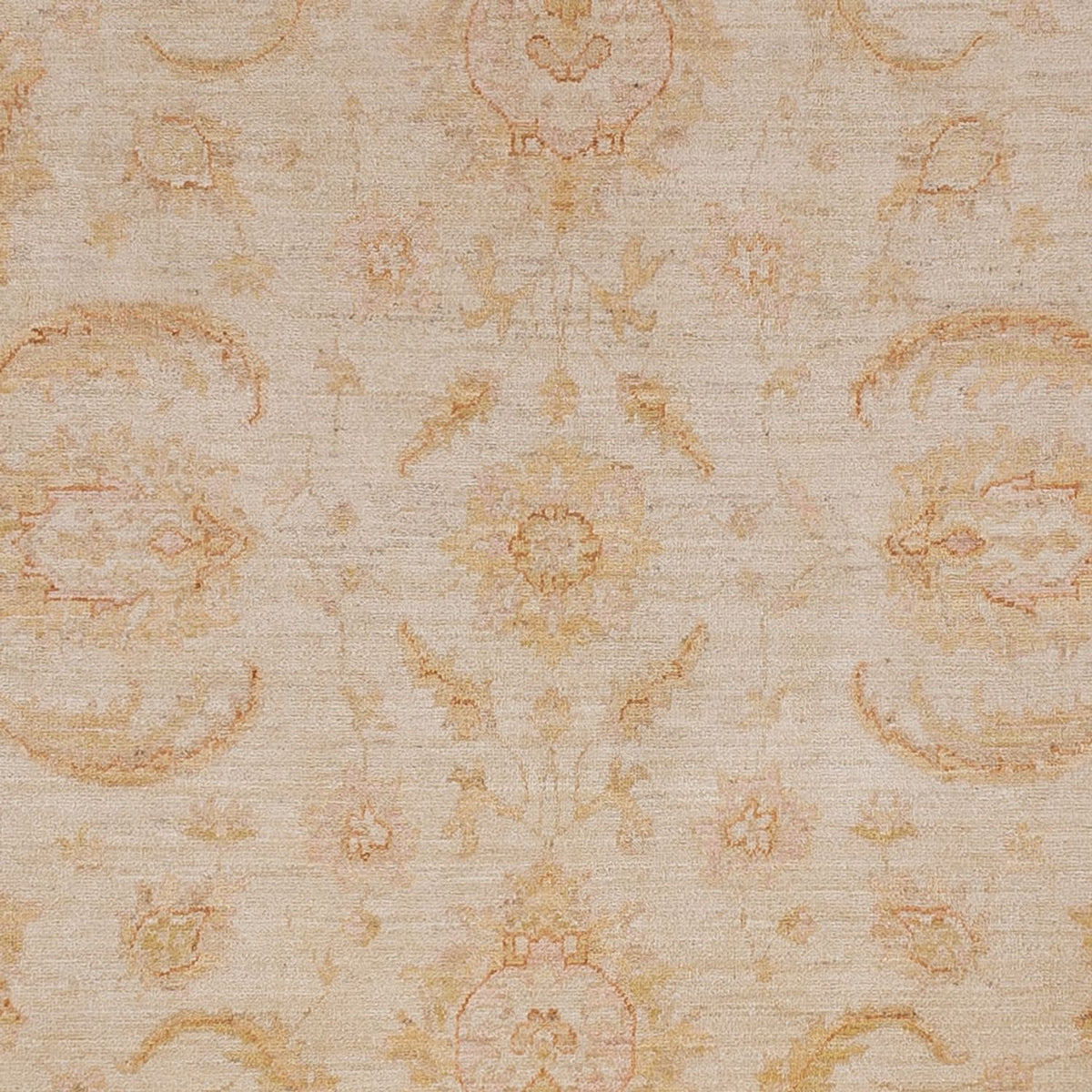 Ziegler Carpet - 295 x 249 cm - beige