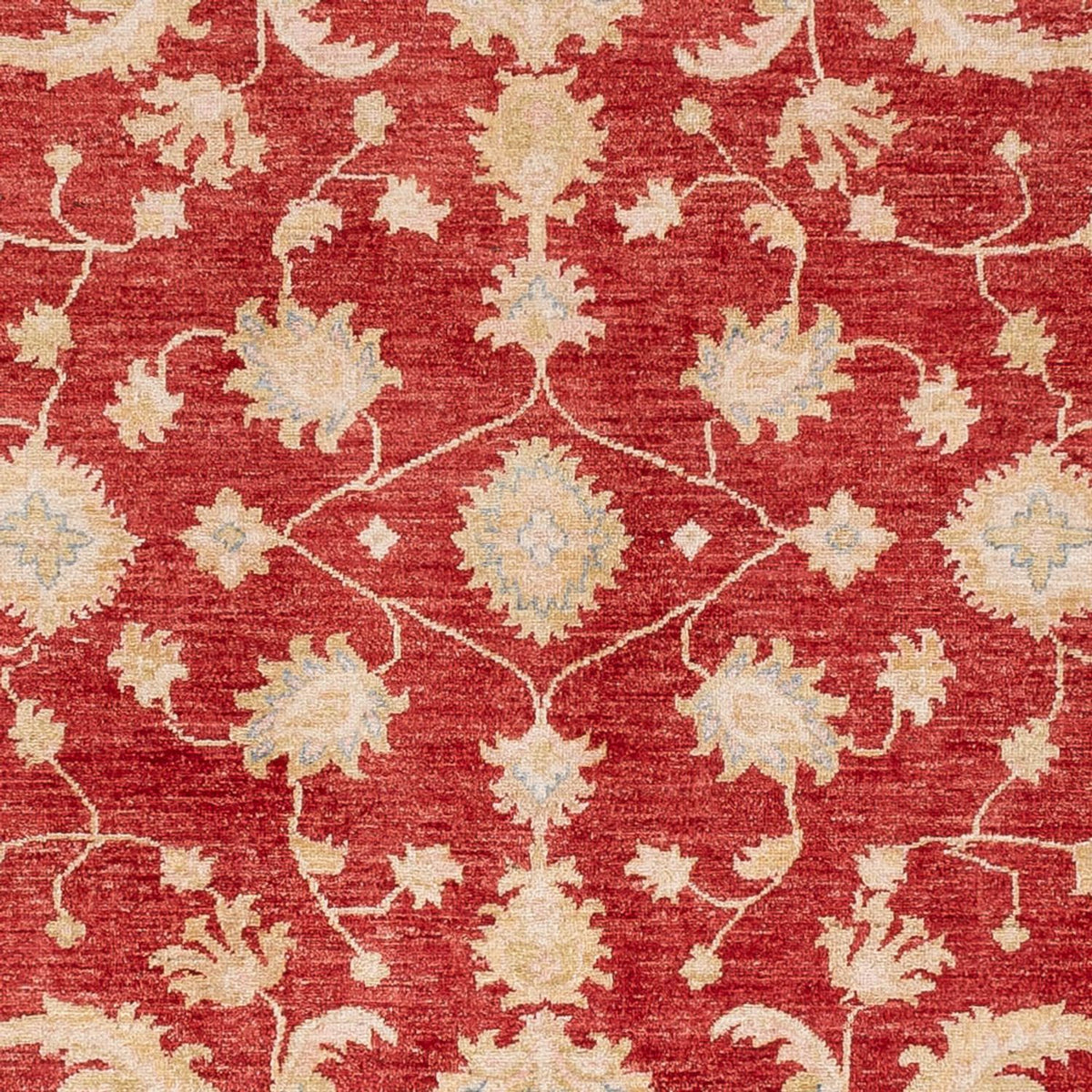 Ziegler Carpet - 294 x 253 cm - rød