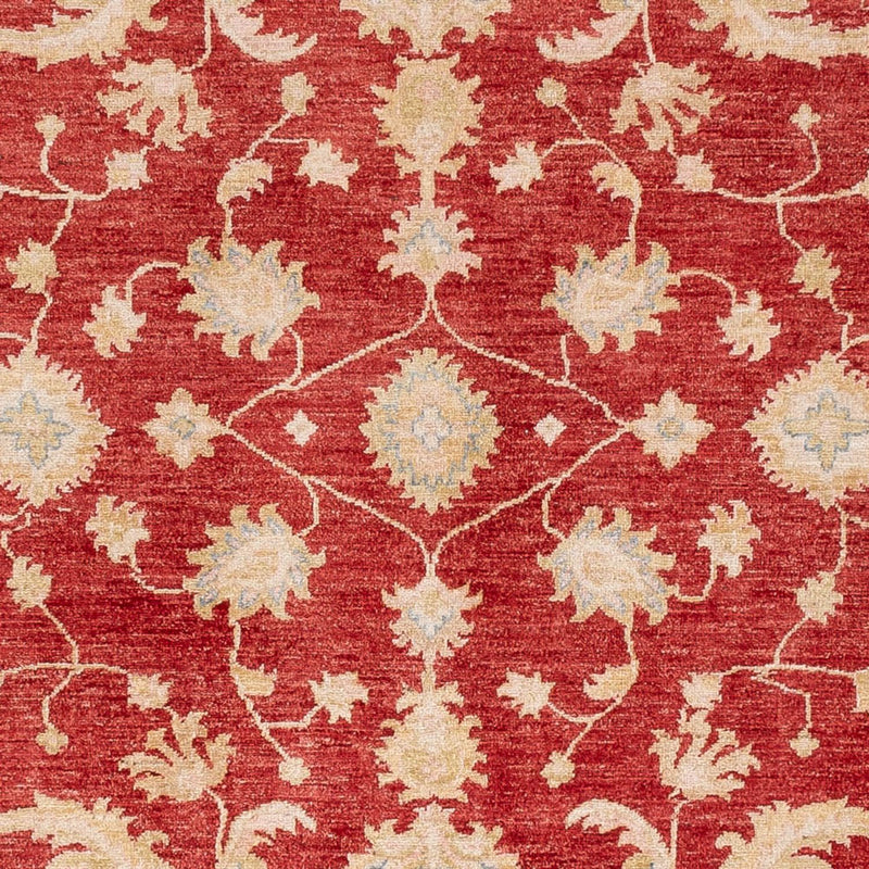 Ziegler Carpet - 294 x 253 cm - rød