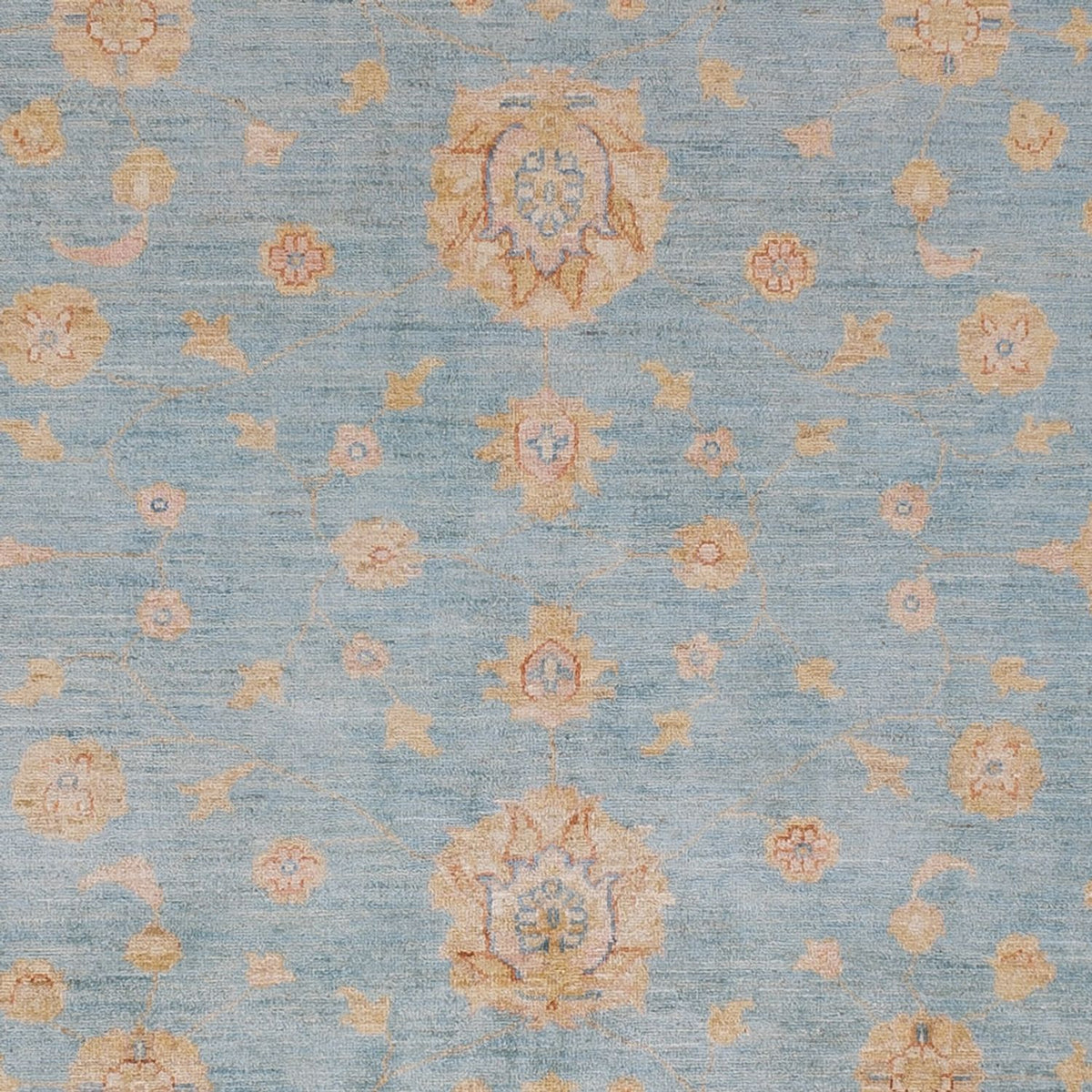 Ziegler Carpet - 295 x 256 cm - lyseblå