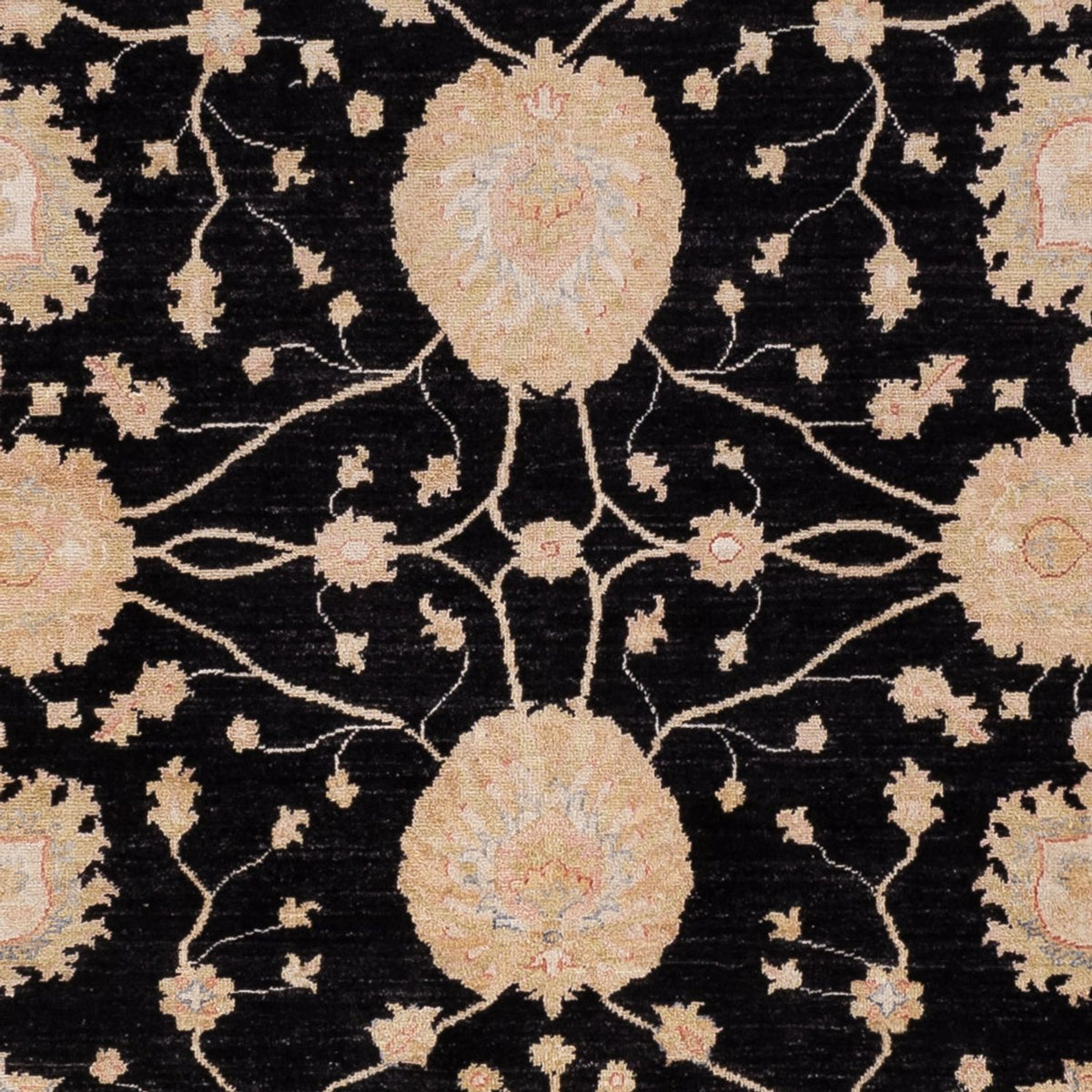 Ziegler Carpet - 300 x 252 cm - sort