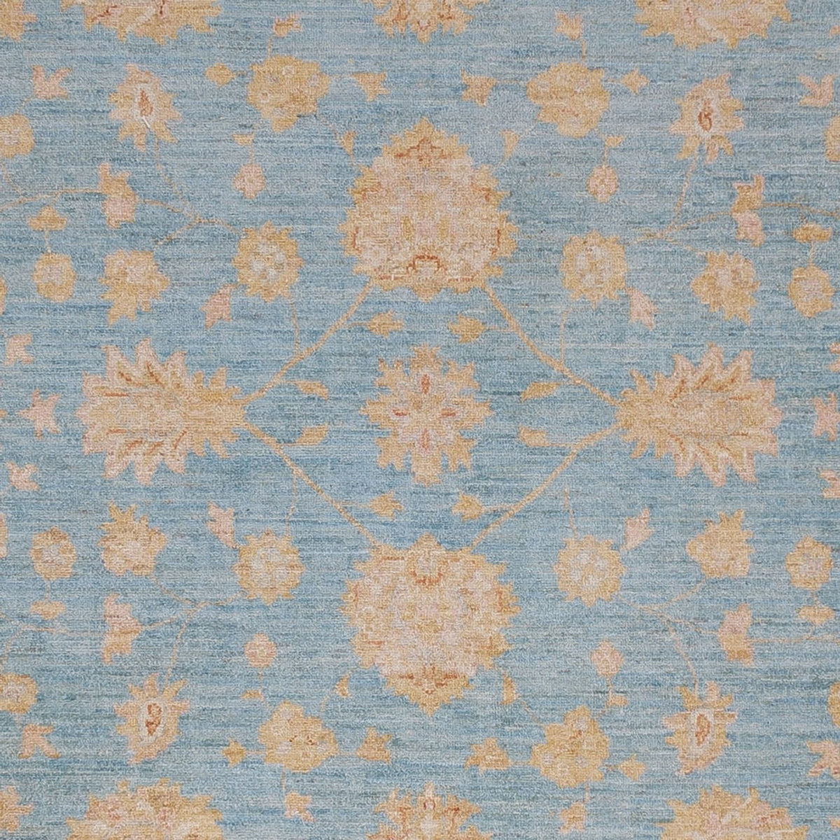 Ziegler Carpet - 302 x 258 cm - lyseblå