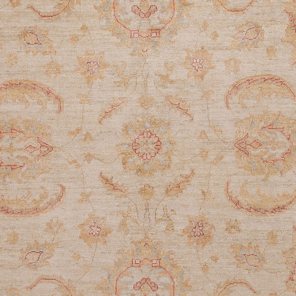 Ziegler Carpet - 302 x 248 cm - beige