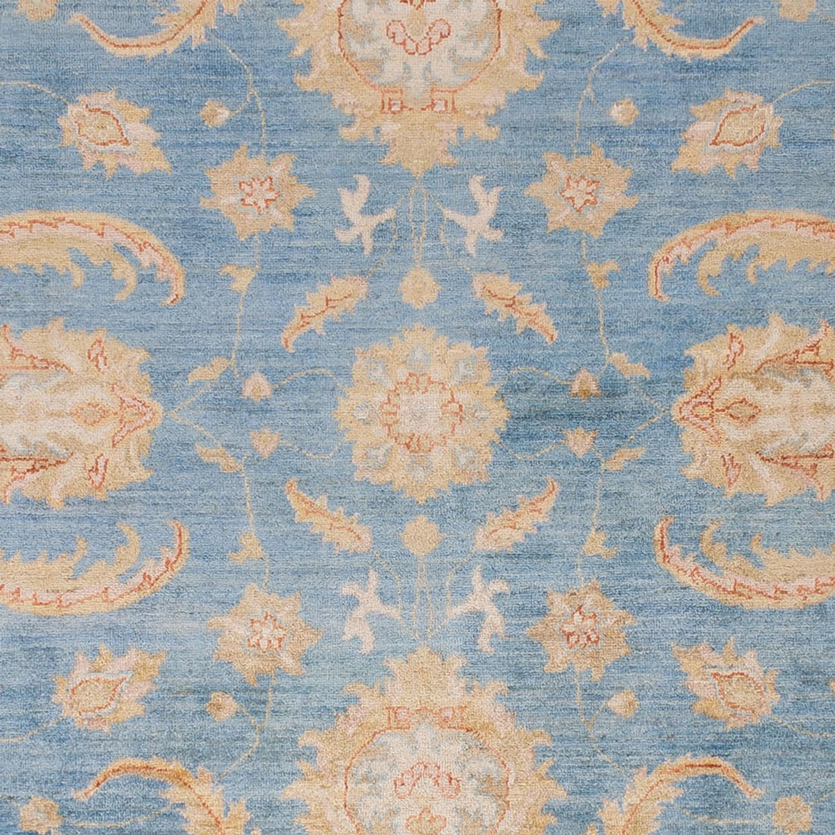 Ziegler Carpet - 297 x 255 cm - lyseblå
