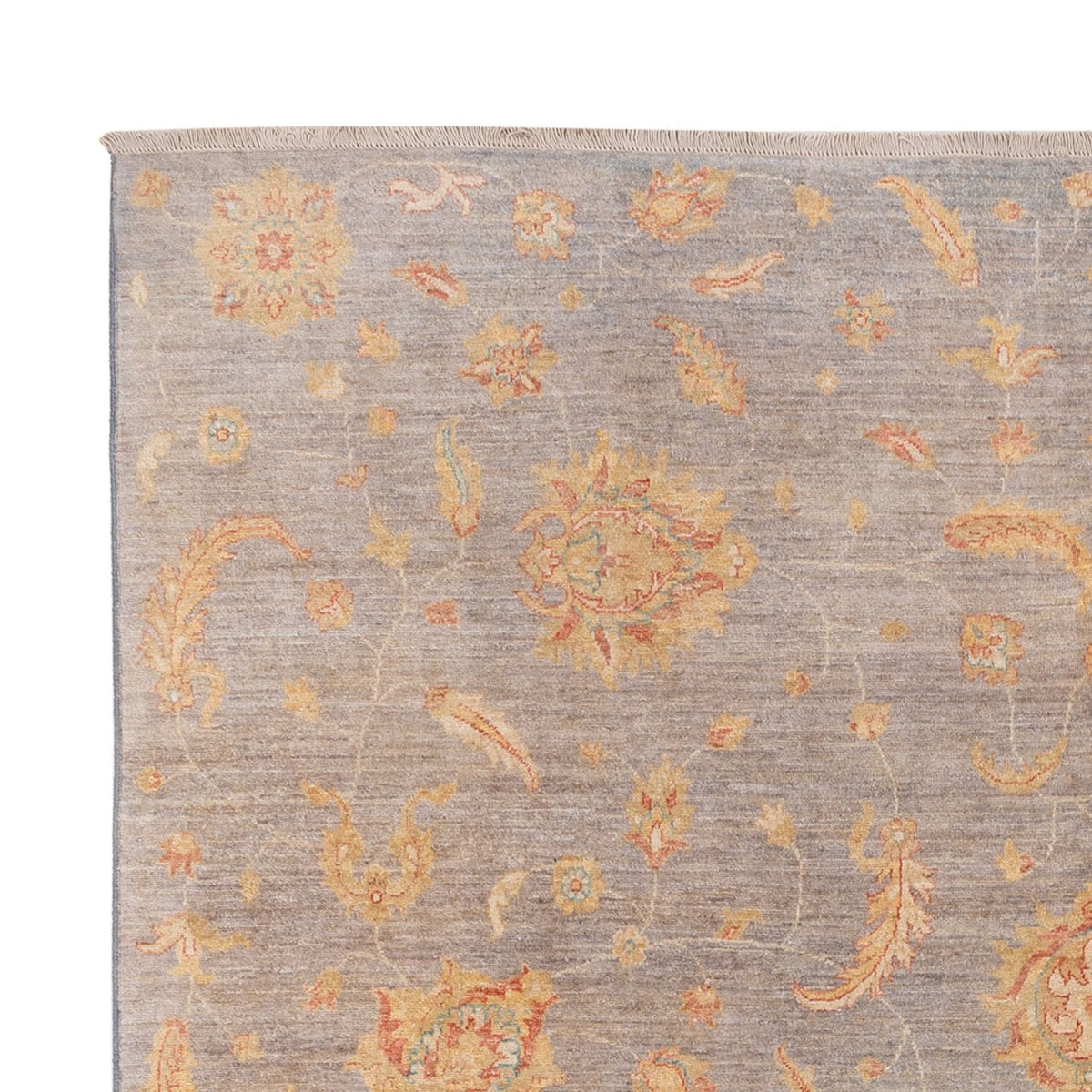 Ziegler Tæppe - Moderne - 304 x 250 cm - grå