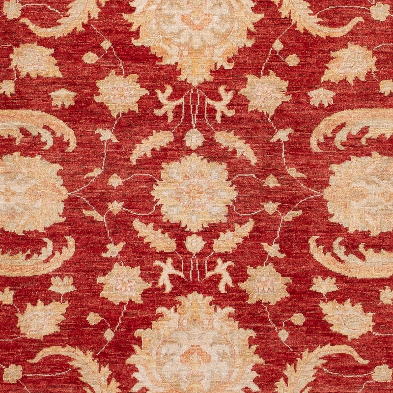 Ziegler Carpet - 297 x 252 cm - rød