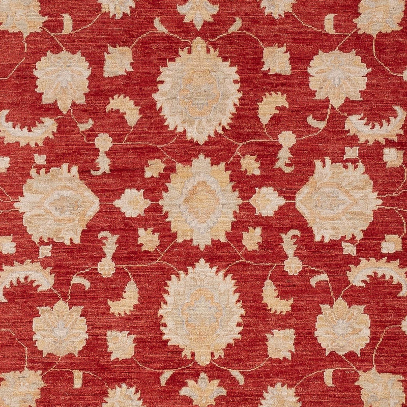 Ziegler Carpet - 303 x 250 cm - rød