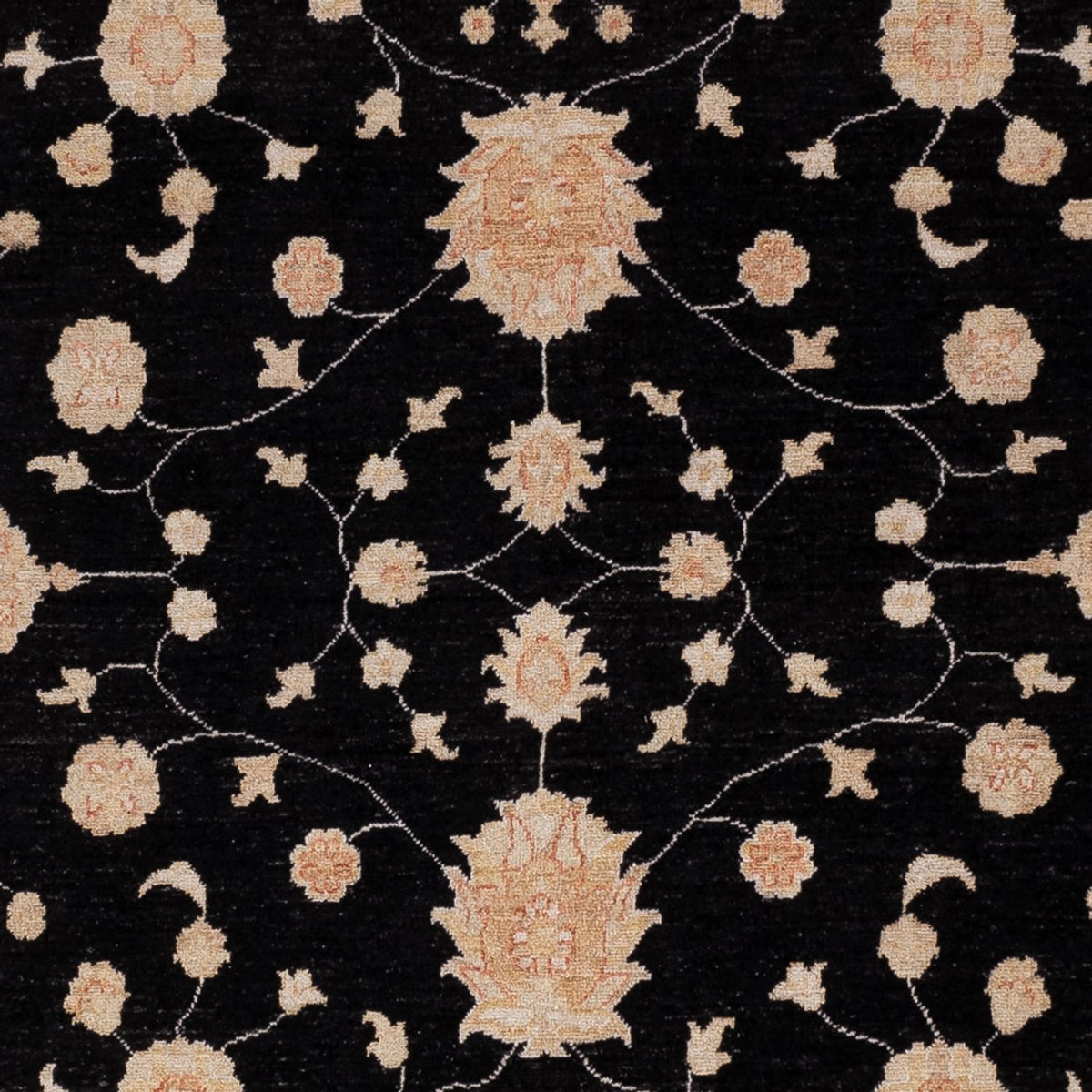 Ziegler Carpet - 303 x 258 cm - sort