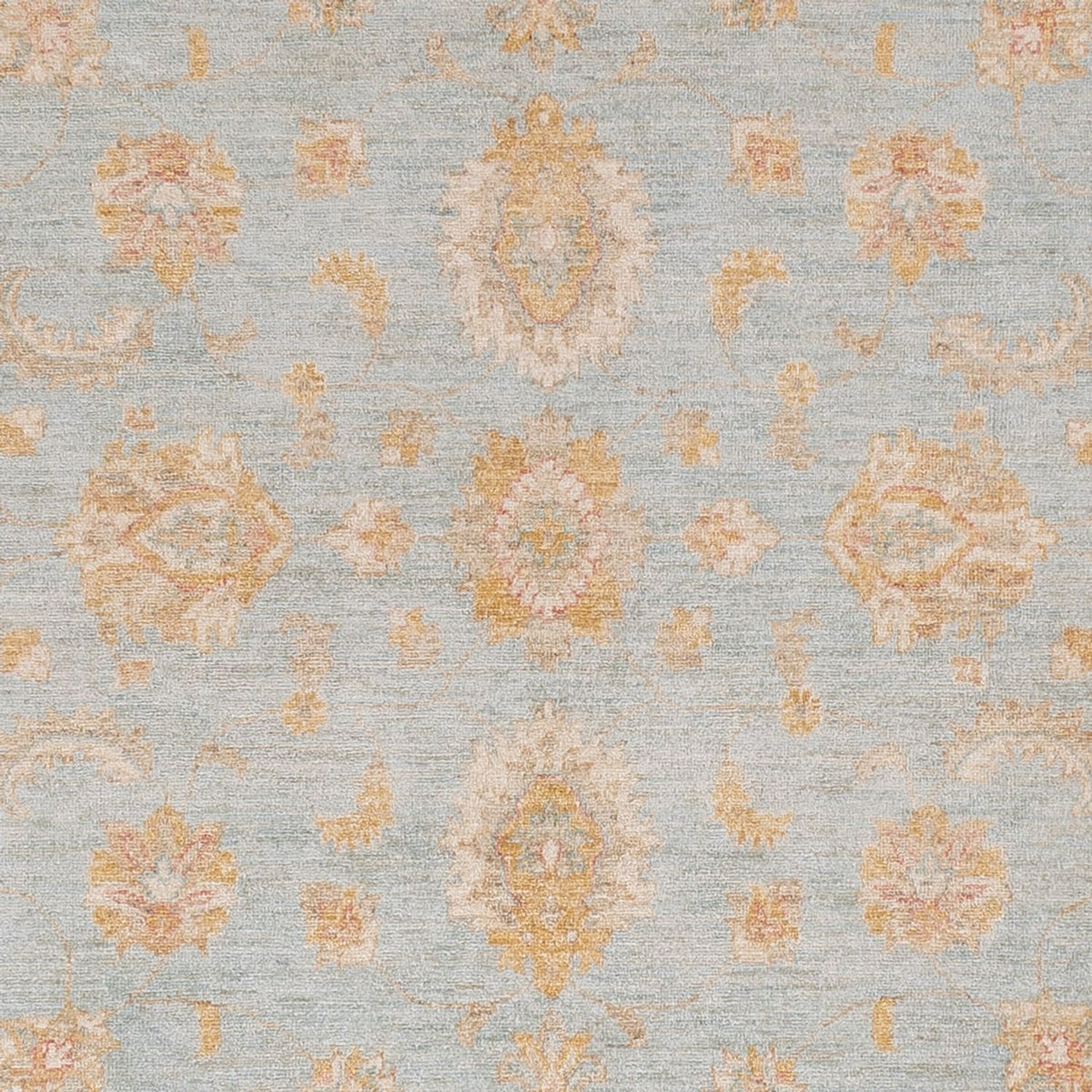 Ziegler Carpet - 299 x 248 cm - lyseblå