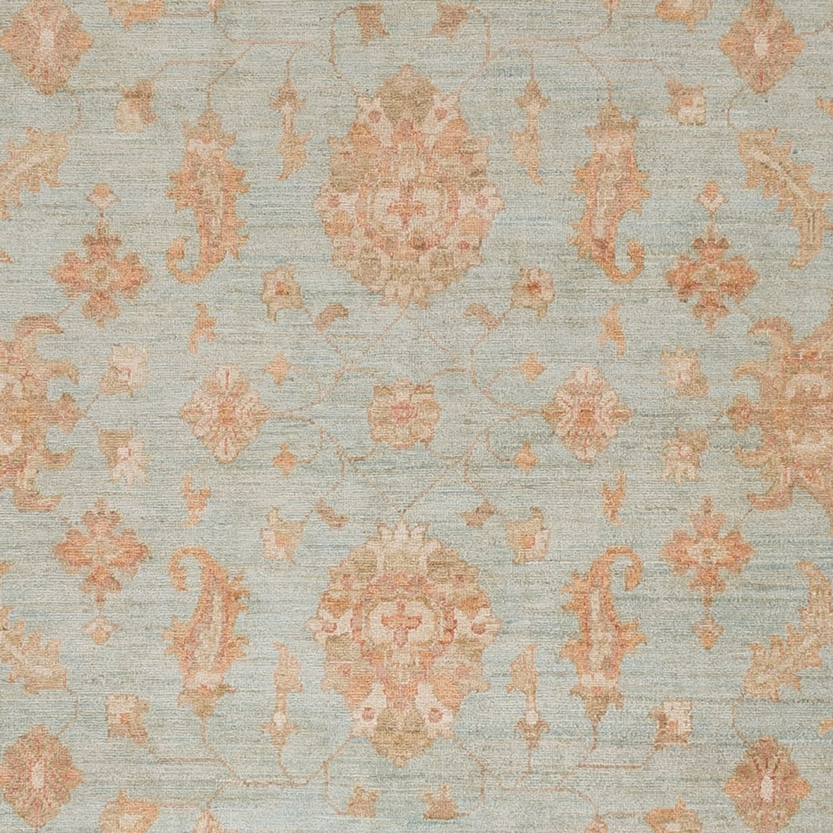 Ziegler Carpet - 302 x 242 cm - lyseblå