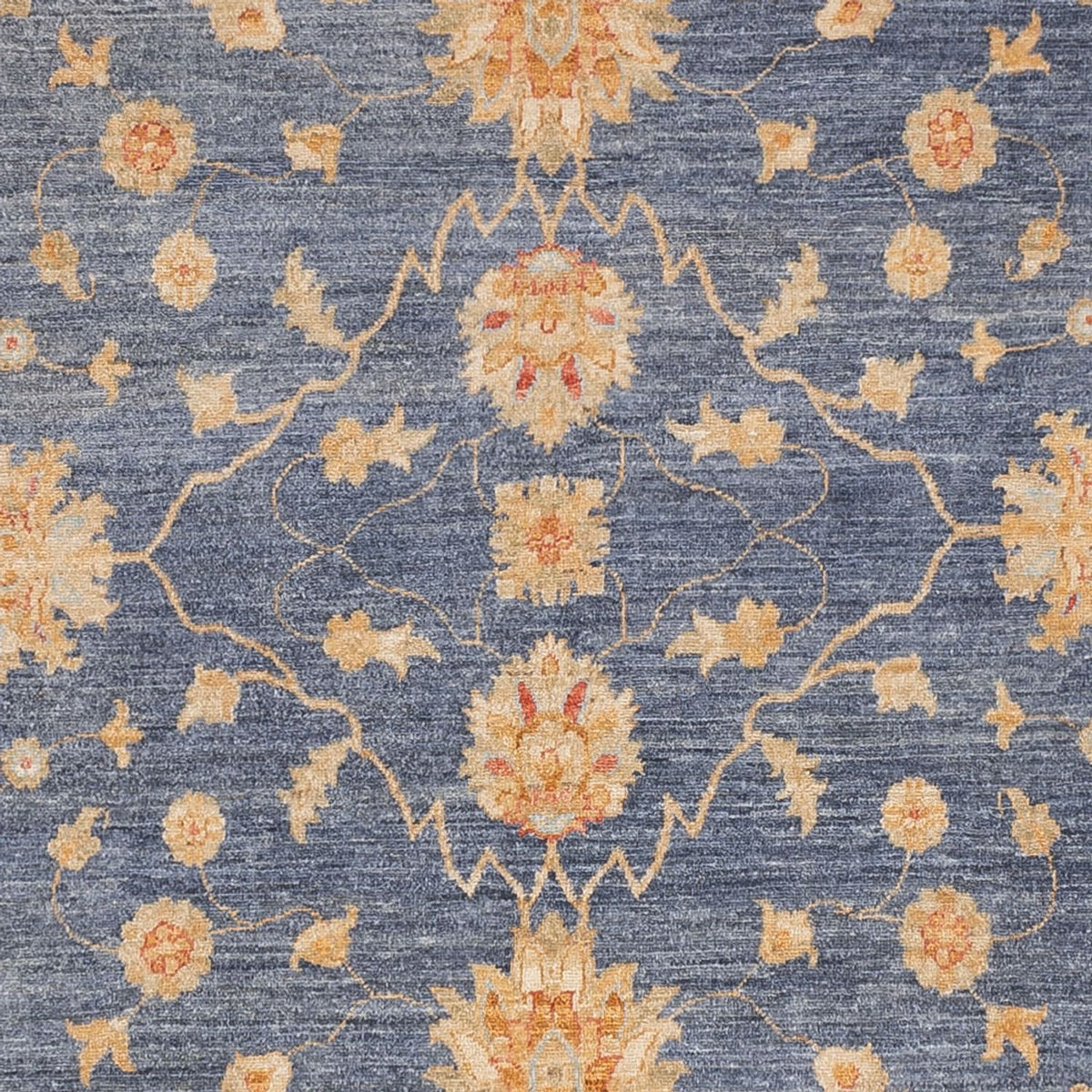 Ziegler Carpet - 299 x 250 cm - blå