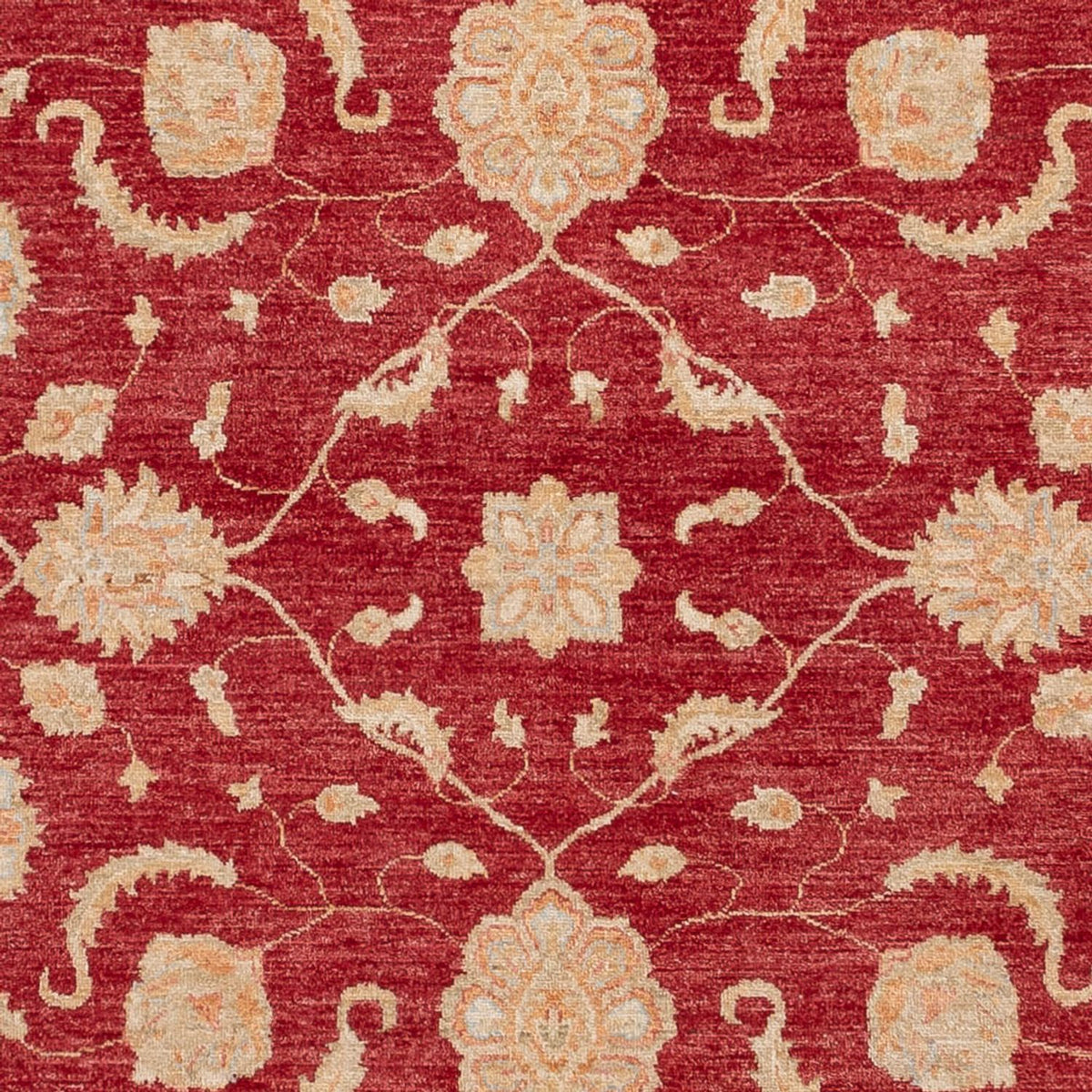 Ziegler Carpet - 294 x 250 cm - rød