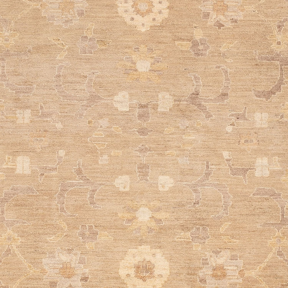 Ziegler Carpet - 286 x 248 cm - karamel
