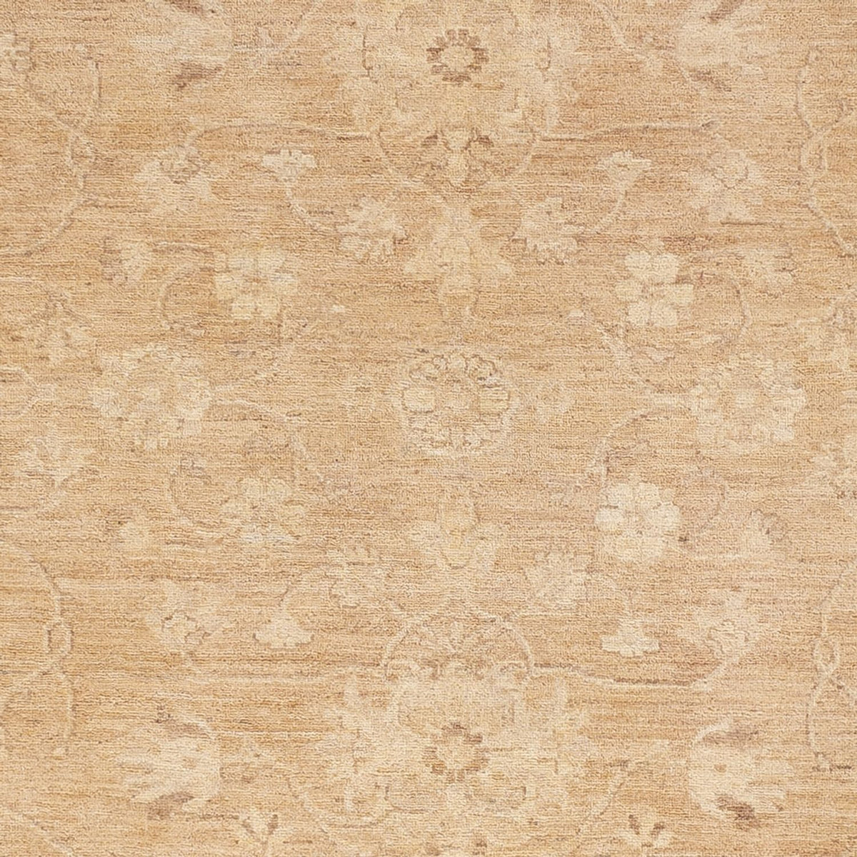 Ziegler Carpet - 305 x 240 cm - karamel