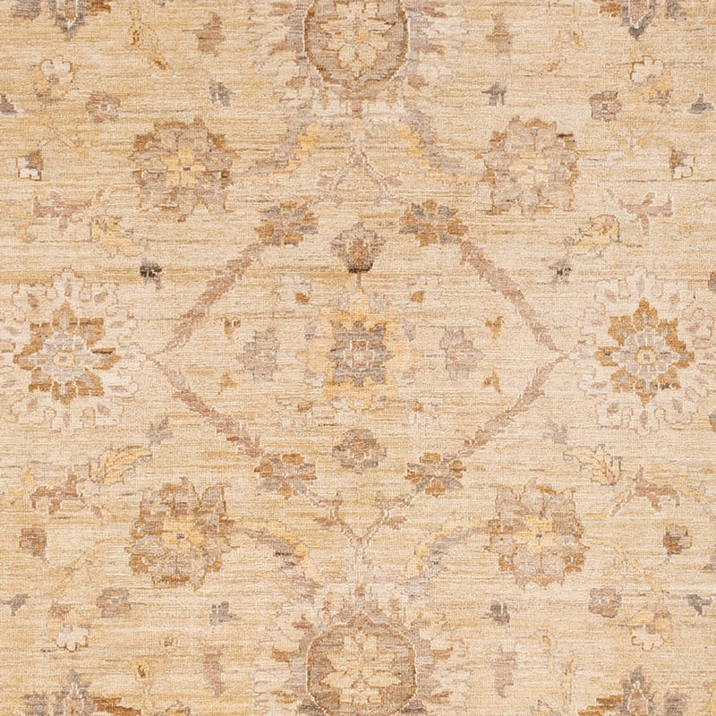 Ziegler Carpet - 290 x 244 cm - beige