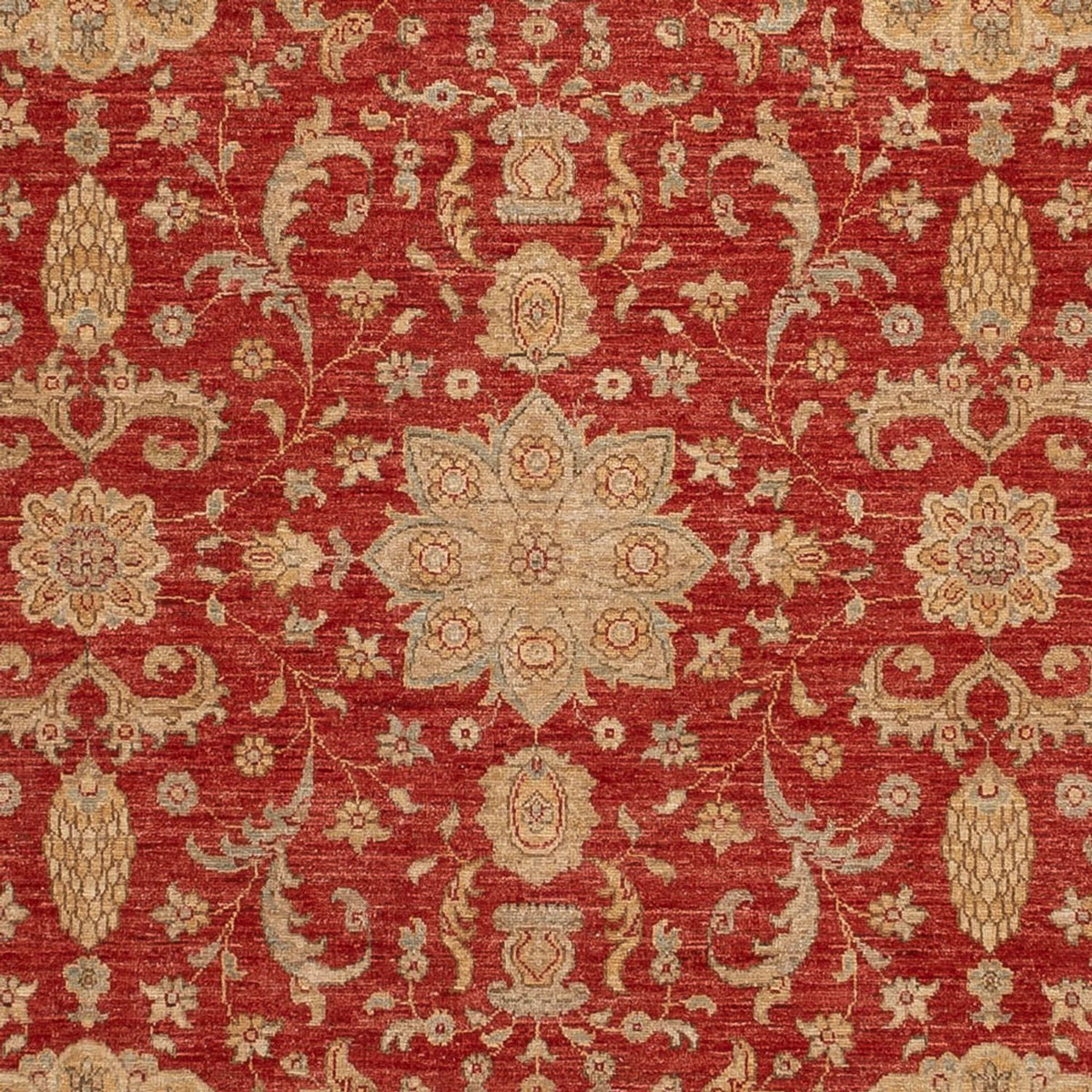 Ziegler Carpet - Ariana - 304 x 245 cm - rød