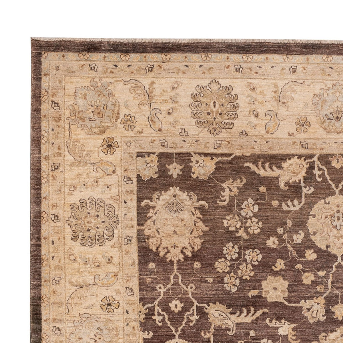 Ziegler Carpet - 309 x 243 cm - brun
