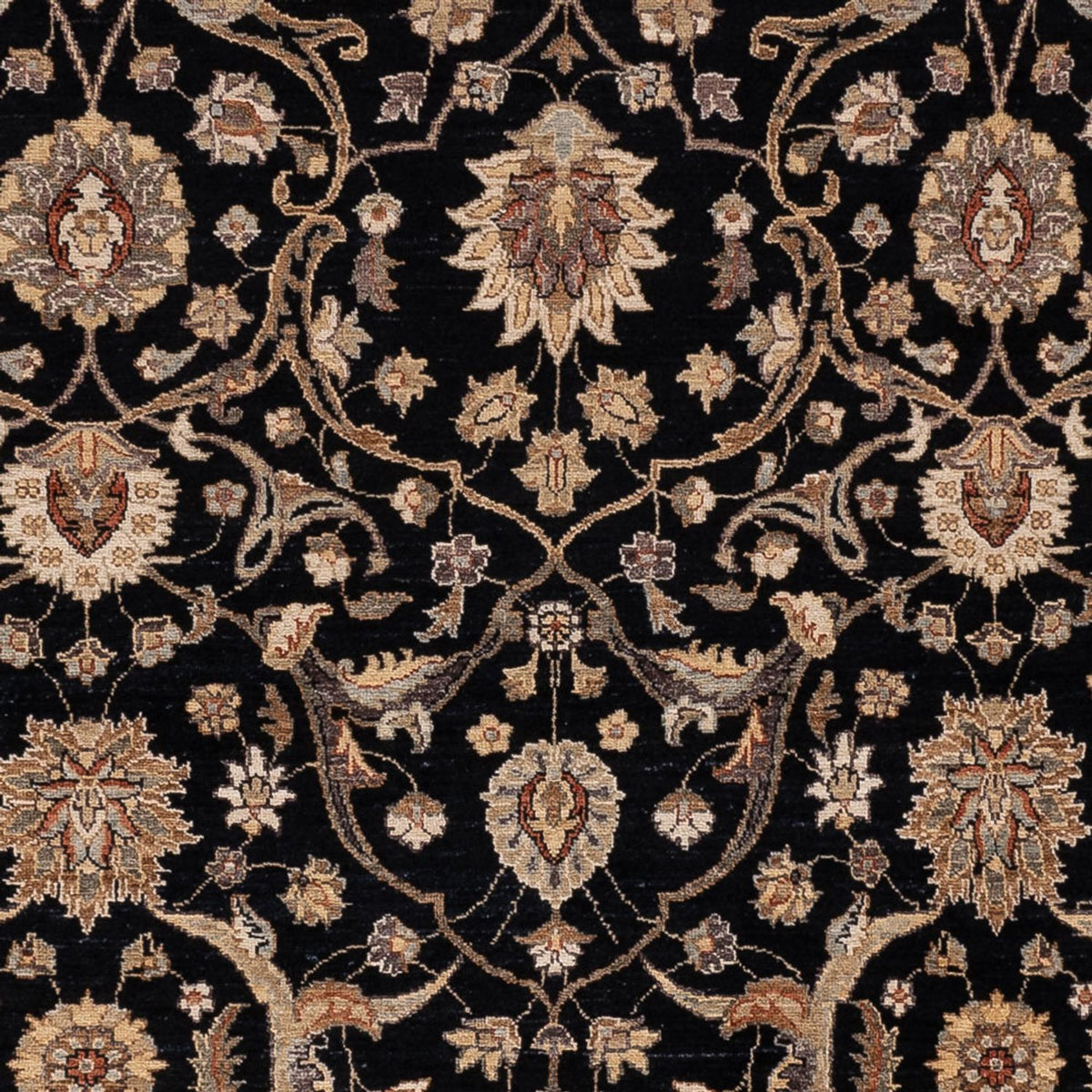 Ziegler Carpet - 299 x 245 cm - sort