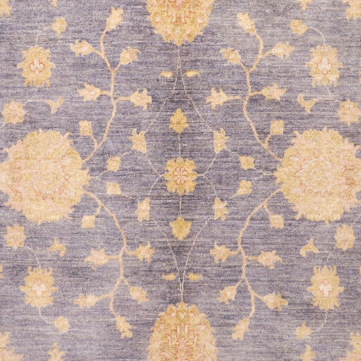 Ziegler Carpet - 303 x 201 cm - lyseblå