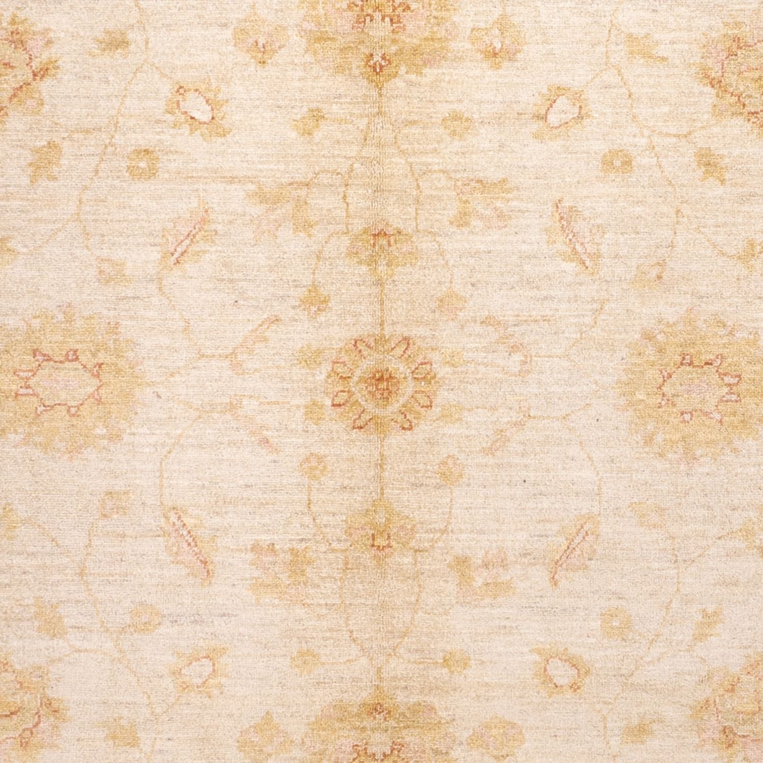 Ziegler Carpet - 294 x 205 cm - beige