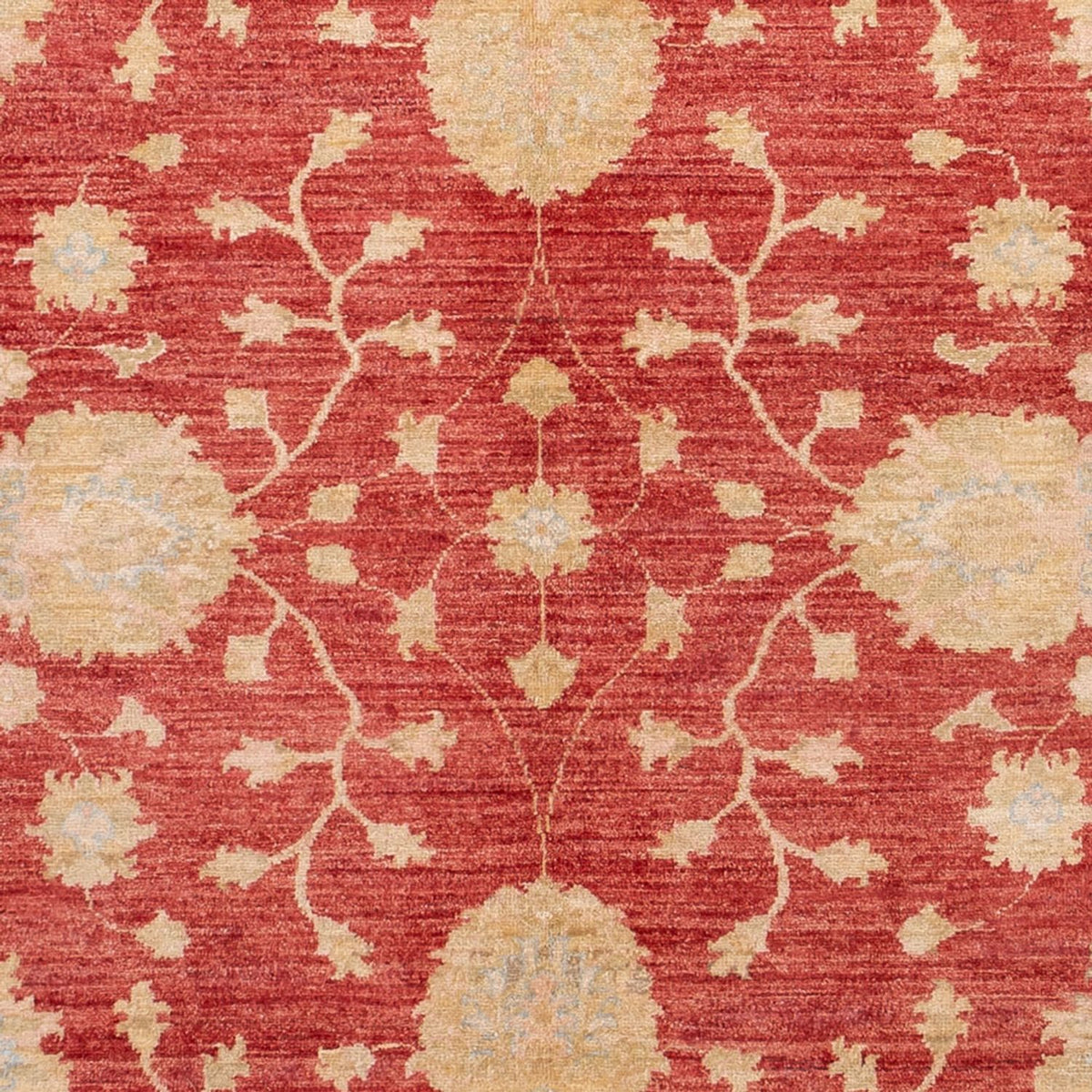 Ziegler Carpet - 291 x 207 cm - rød