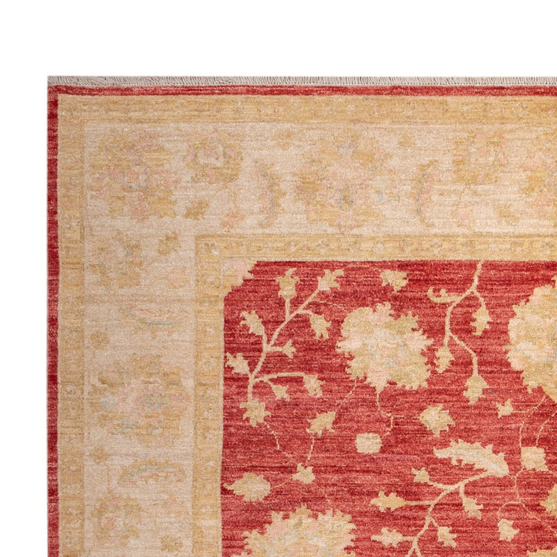 Ziegler Carpet - 291 x 207 cm - rød