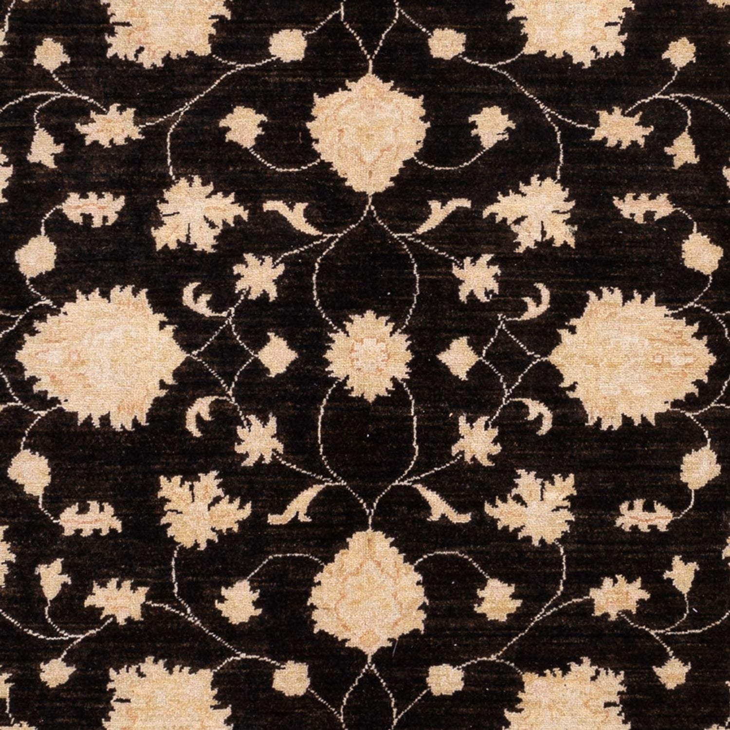 Ziegler Carpet - 291 x 204 cm - sort