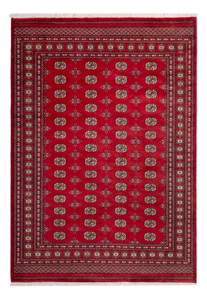 Afghansk tæppe - Bukhara - 292 x 206 cm - rød