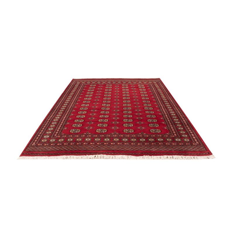 Afghansk tæppe - Bukhara - 292 x 206 cm - rød
