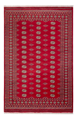 Afghansk tæppe - Bukhara - 307 x 201 cm - rød